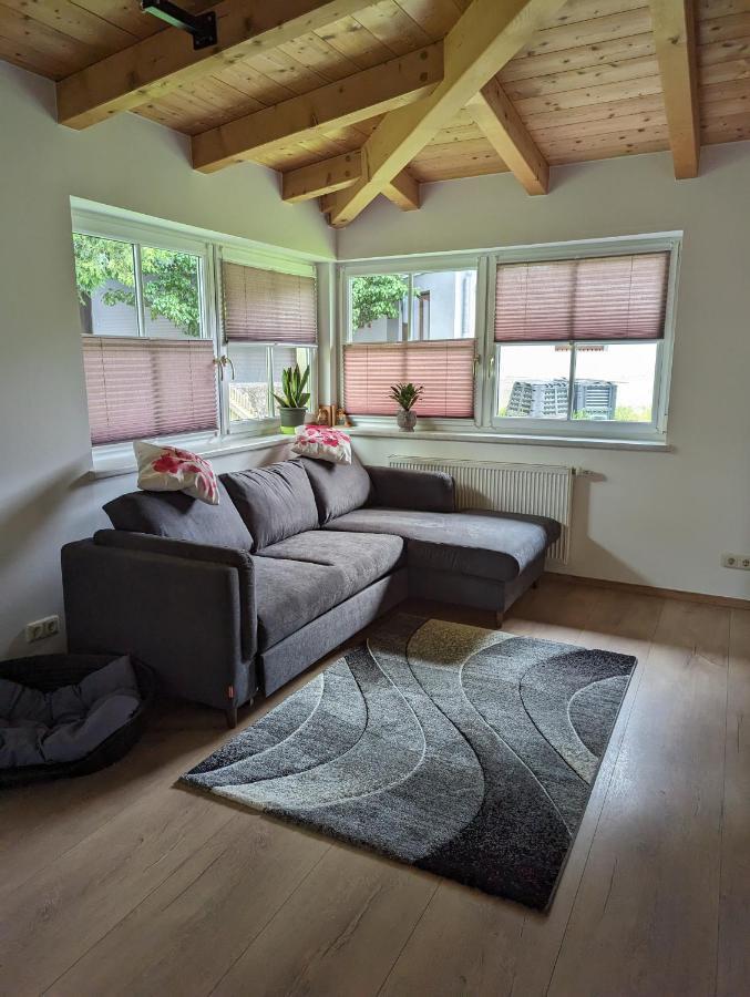 Ferienwohnung Trixi Hollersbach im Pinzgau Eksteriør bilde